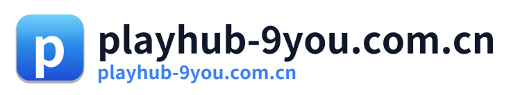 playhub-9you.com.cn Logo